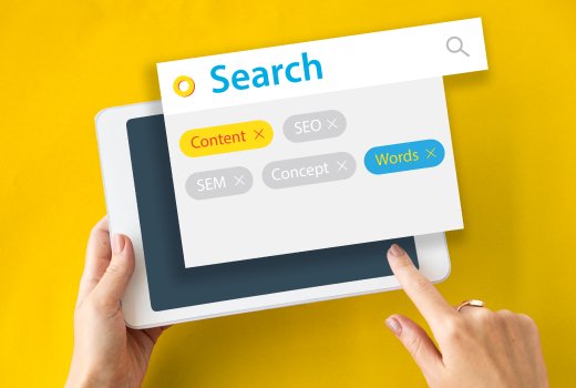 Searc Engine Optimization Portfolio